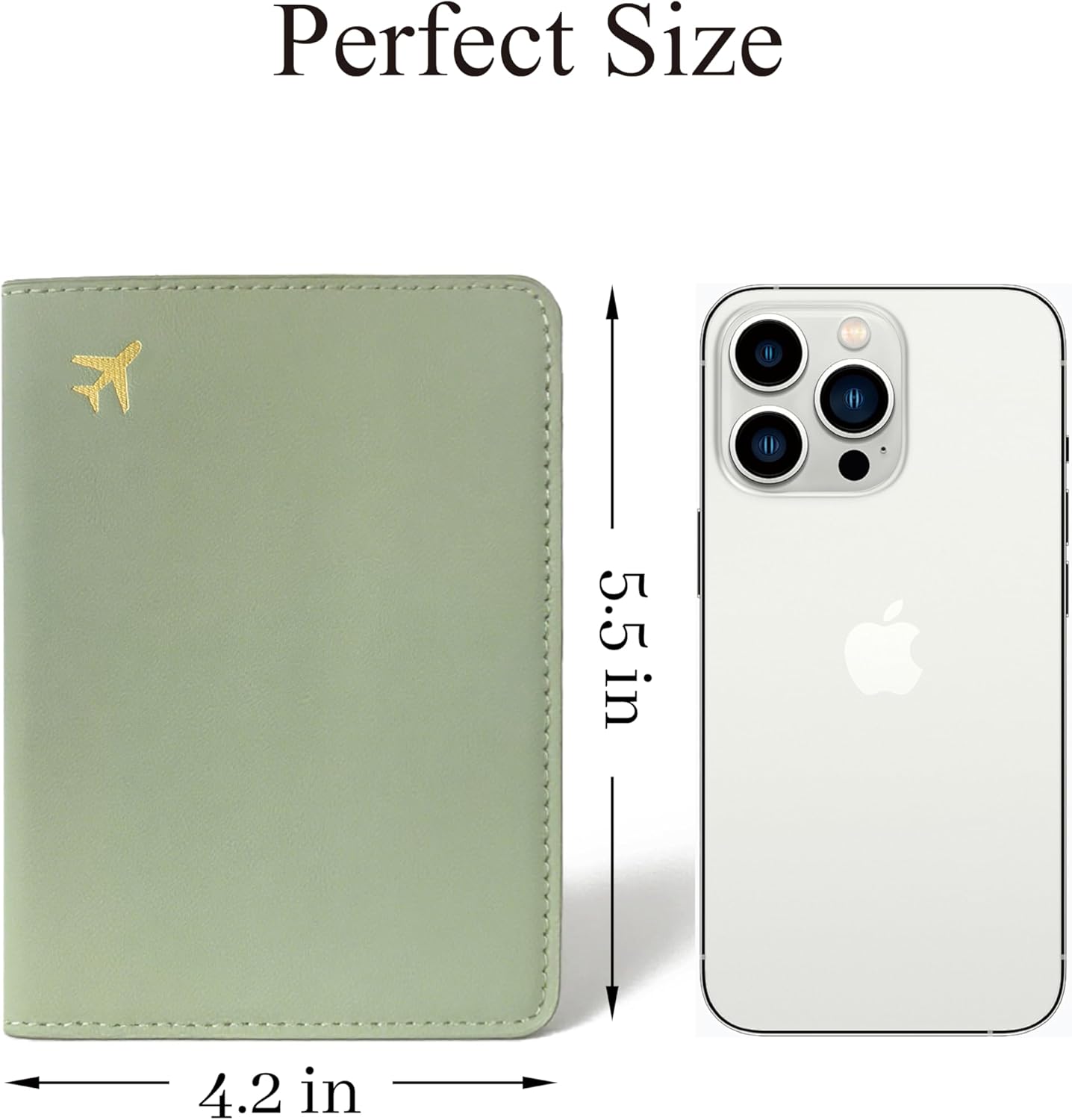 Passport Holder for Travel